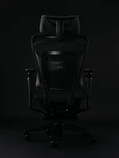 COFO chair