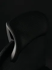 COFO chair