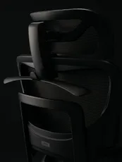 COFO chair